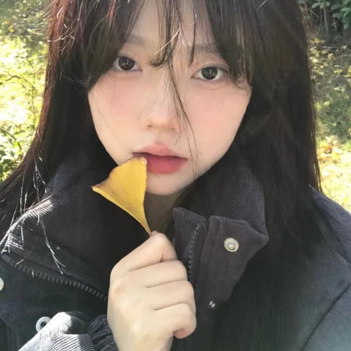 青春年华